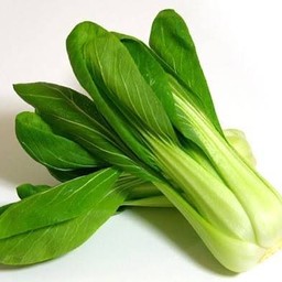 ฮ่องเต้ผัดไฟแดง