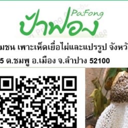 ป้าฟองเห็ดเยื่อไผ่