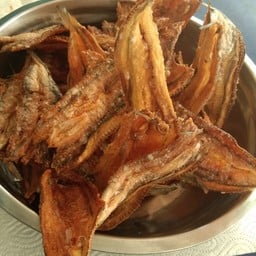 ปลาจิ๊กโก๋