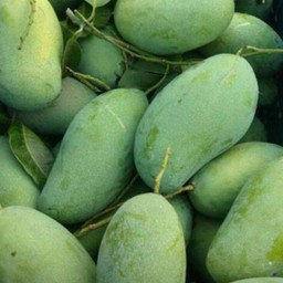 มะม่วงแก้วขมึ้น (ดิบ) 1 ถุง