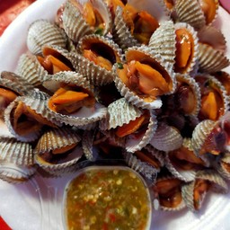 หอยแครงลวก