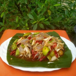 พริกกะเพรา สาขาเดียว