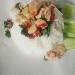 ร้านข้าวห่อร่มเกล้า