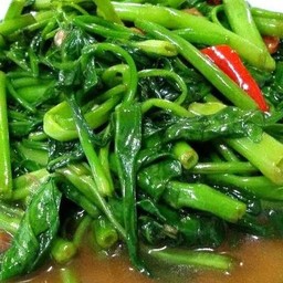 ผัดผักบุ้ง (ราดข้าว)