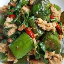 ผัดมะเขื้อยาวโหรพาหมูสับ ราดข้าว