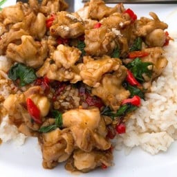 ข้าวราดกระเพราเอ็นข้อไก่ Chicken tendon basil rice