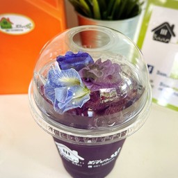 ม่วงจี๊ด (อัญซันมะนาว)