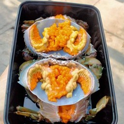 ข้าวต้มตัวแม่ ก๋วยจั๊บญวน ปูม้าแกะ เจ้าเด็ดอยุธยา ข้างโรงพยาบาลอยุธยา