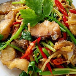 ปลากระพงผัดคื่นฉ่าย