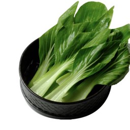 Bok Choy