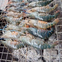 จ.จุ้ง กุ้งเผา/สด