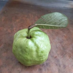 ร้านป้าเล็กผลใม้ตามฤดูกาล ราชภัฏประตู2