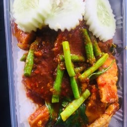 เซาร์เทริน์ซิสเตอร์