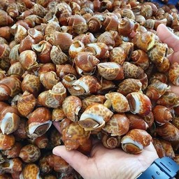 ปักหมุด