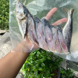 ปลาอินทรีย์แดดเดียว