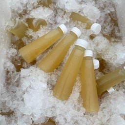 นำ้กระชาย เพื่อคนรักสุขภาพ วีคอนโด