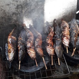 ปลาดุกย่าง