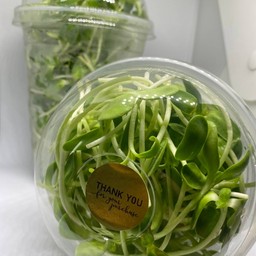 ฟาร์มลับ Secret Farm