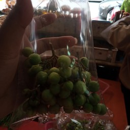 มะเขือพวง