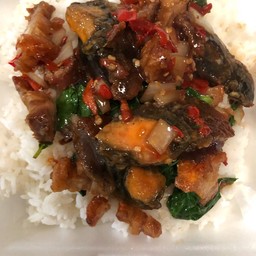 กระเพราหมูกรอบไข่เยี่ยวม้า