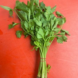 ปาโก๋ ผักซิ่ง