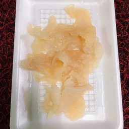 แมงกระพรุน