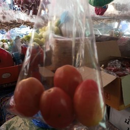 มะเขือเทศ