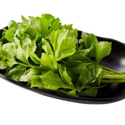 ผักคื่นฉ่าย (Celery)