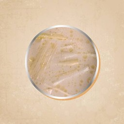 ซุปราเมนทงคัตสึ เพิ่ม