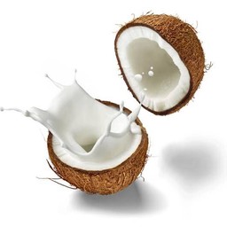 ร้านกะทิเจ๊ปุ๊ย