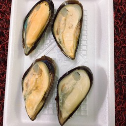 หอยเเมงภู่ชิลี