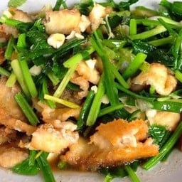 เนื้อปลากะพงผัดขึ้นช่าย