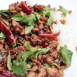 กระเพราหมูสับ ตกสวรรค์ (กับข้าว)