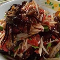 สัมตำฝากฝัน