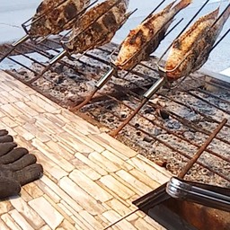 เจ้ป้อมปลาเผา