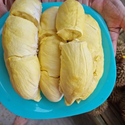 ด็อกเเตอร์ ซีฟู้ด