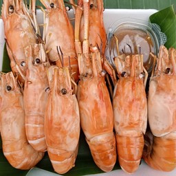 น้องนกอาหารทะเลสด