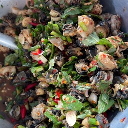 ก้อยหอย