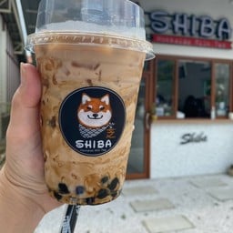 Shiba Hokkaido Milk Tea เลียบคลองสอง