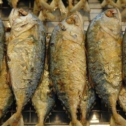 ปลาทูทอด