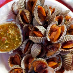 หอยแครงลวกชุดเล็ก