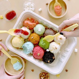 Ice cream 12 mini scoops