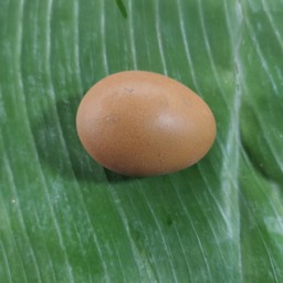 ไข่ต้ม