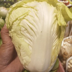 ผักกาดลุ้ยกิโลละ50