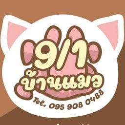 9/1บ้านแมว