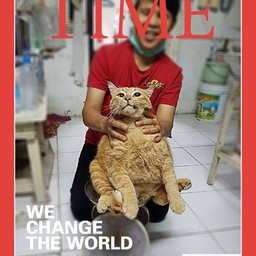 ทิปเเมวอ้วน 1