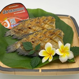 ปลาหลงแดด /ชุดไทยครูอ้อ