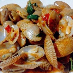 ผัดหอยลาย