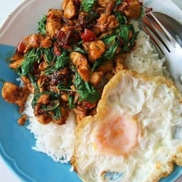 กะเพราไก่