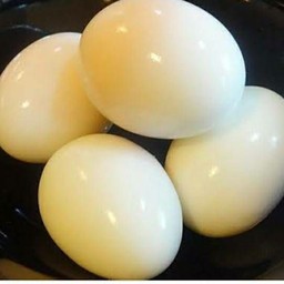 ไข่ต้มคะ